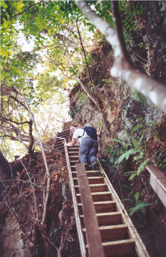 trail.jpg (115919 bytes)